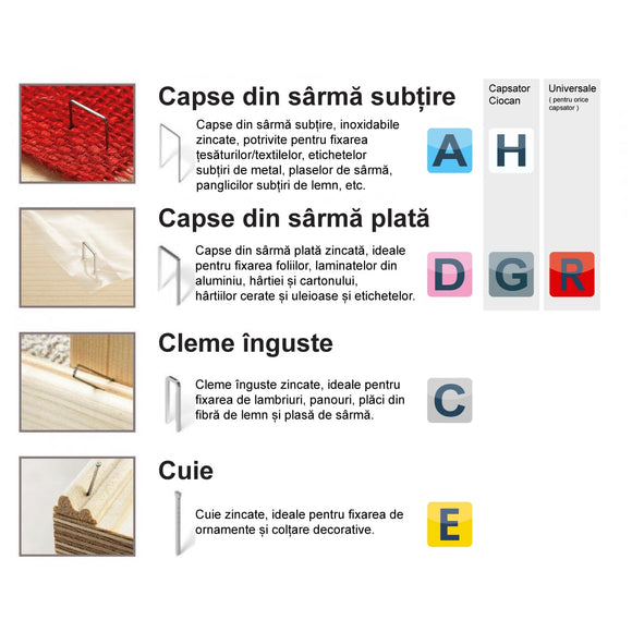 Capse Novus din sârmă plată Tip D 53 F/12 mm zincate - 600 bucăți